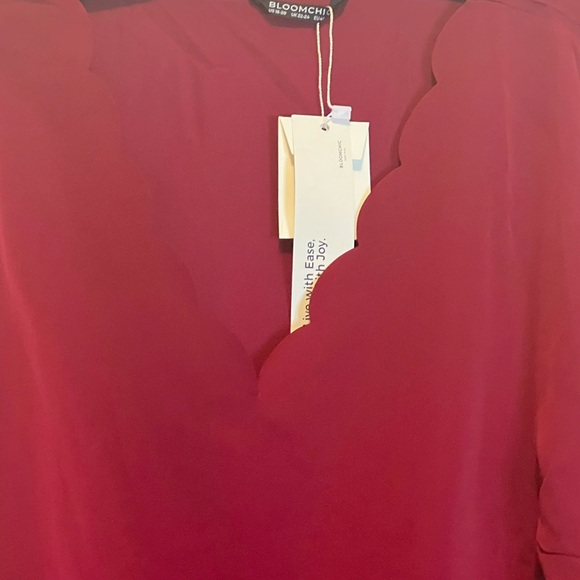 Bloomchic scalloped neck with Swiss dot sleeve 18/20 top NWT - Picture 2 of 4